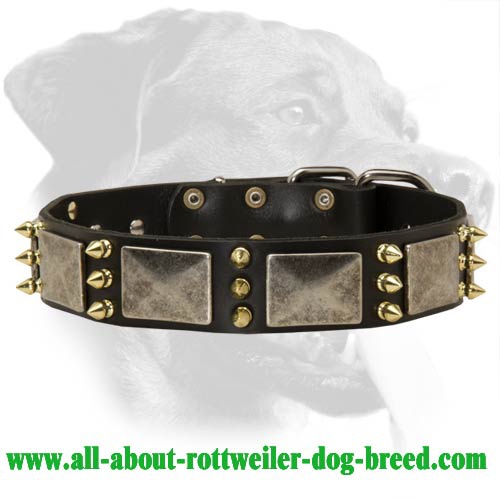 War Spiked Leather Collar for Rottweiler