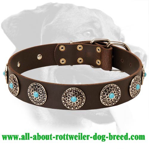 Leather Collar with Silver Plated Circles and Blue Stones for Rottweiler - Click Image to Close