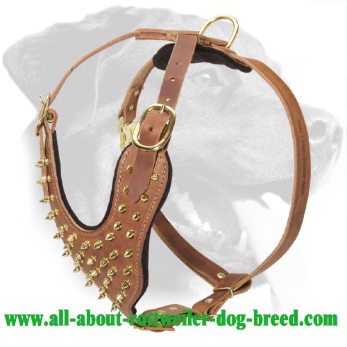 Order Walking Genuine Leather Rottweiler Harness