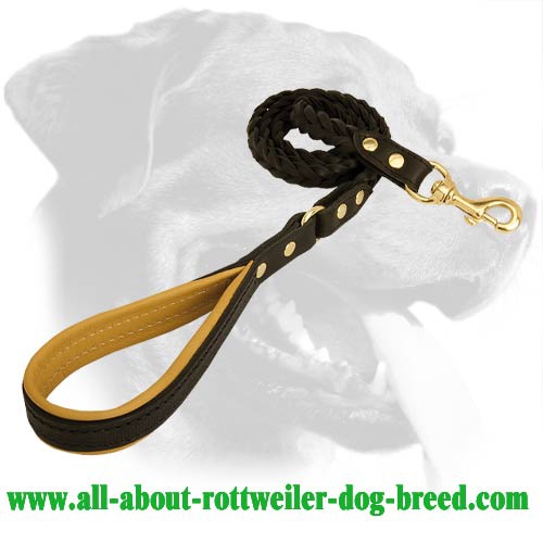 Braided Handcrafted Leather Leash for Rottweiler