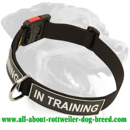 Get Nylon Rottweiler Collar, Velcro Patches