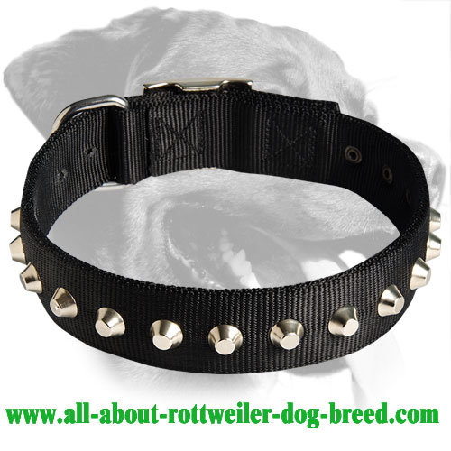 Wide Nylon Collar with Pyramids for Rottweiler