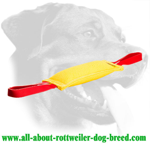 Rottweiler Bite Tug - French Linen Material
