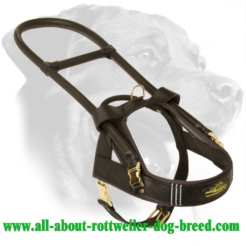 Buy Leather Rottweiler Dog Harness, Assistance, Guidance