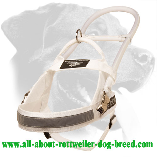Guide & Assistance White Nylon Rottweiler Harness