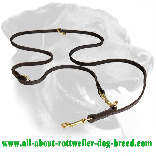 Extra Soft English Leather Rottweiler Leash for Everyday Walking and Training