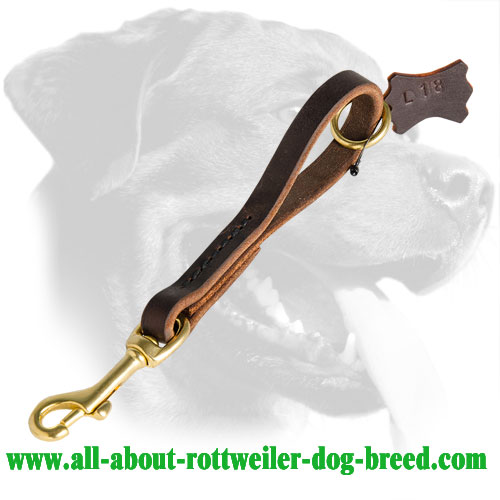 Short Leather Rottweiler Leash for Maximum Close Control