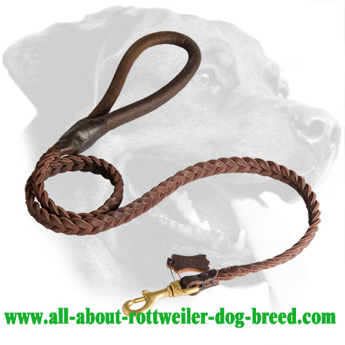 First Class Braided Leather Rottweiler Leash with Round Handle