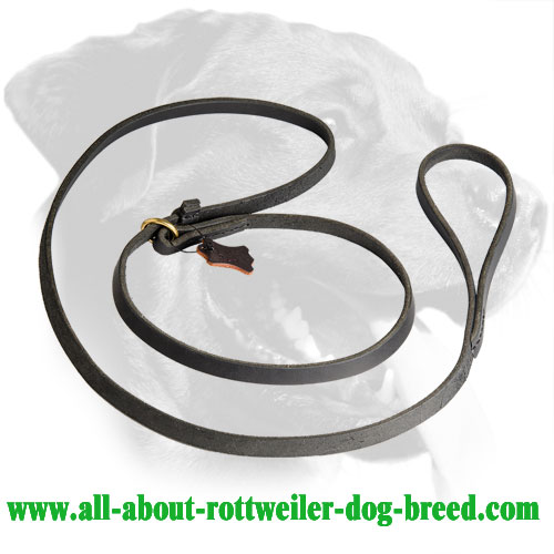 Leather Rottweiler Leash & Collar Combo