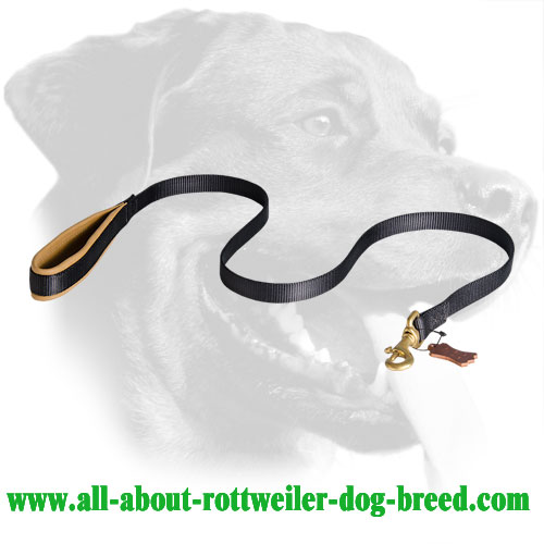 Nylon Rottweiler Leash with Padded Handle