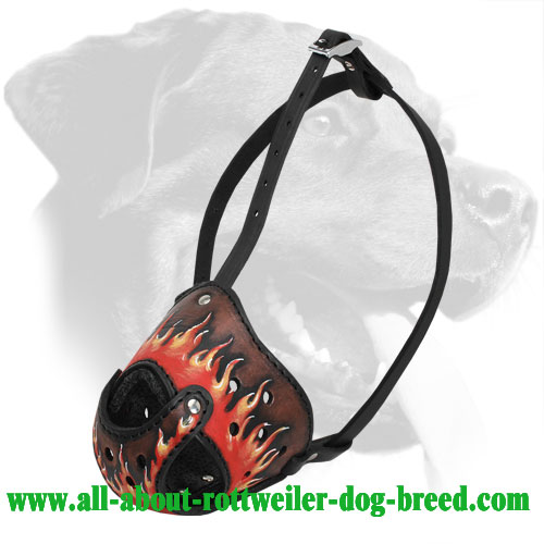 Flames Painted Leather Rottweiler Muzzle for Training and Walking