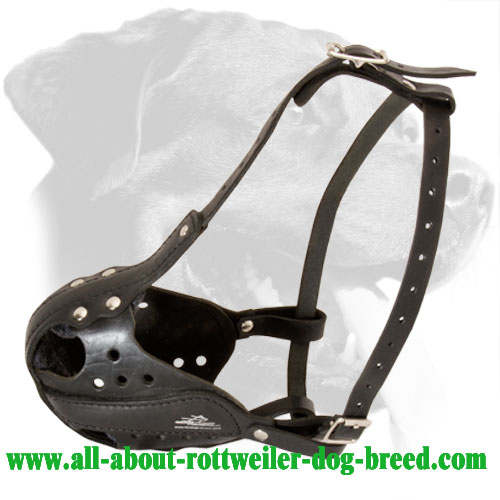 Universal Leather Rottweiler Muzzle for Working Police Dogs - Click Image to Close