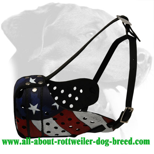 Handpainted Leather Rottweiler Muzzle for Attack Training and Everyday Walks