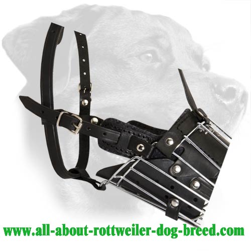 'No Mash' Super Comfortable Metal Basket Dog Muzzle for Rottweiler