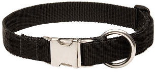 All Weather Everyday Nylon Collar for Rottweiler