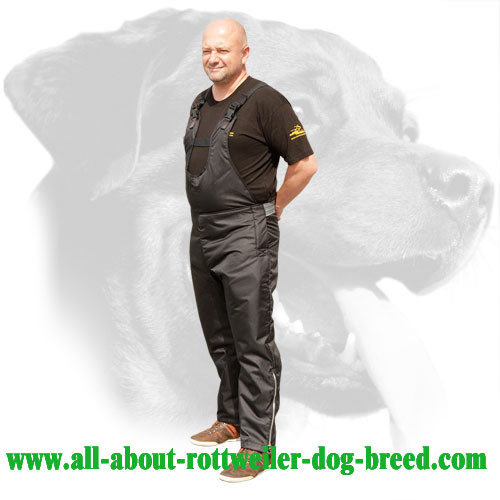 Nylon Scratch Protection Pants for Rottweiler Field Training Sessions