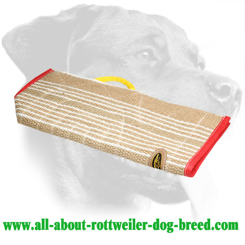 Jute Protective Cover for Bite Sleeves