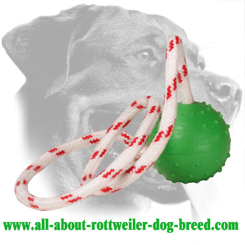 Dog Rubber Toy For Rottweiler Retrieve Training (Small)