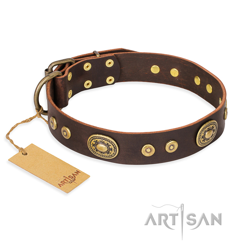 'One-of-a-Kind' FDT Artisan Brown Leather Dog Collar with Decorations