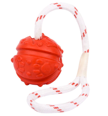 Similar to Everlasting Fun Ball on a Rope for RottweilerBall