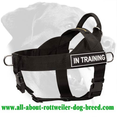 Get Nylon Rottweiler Harness