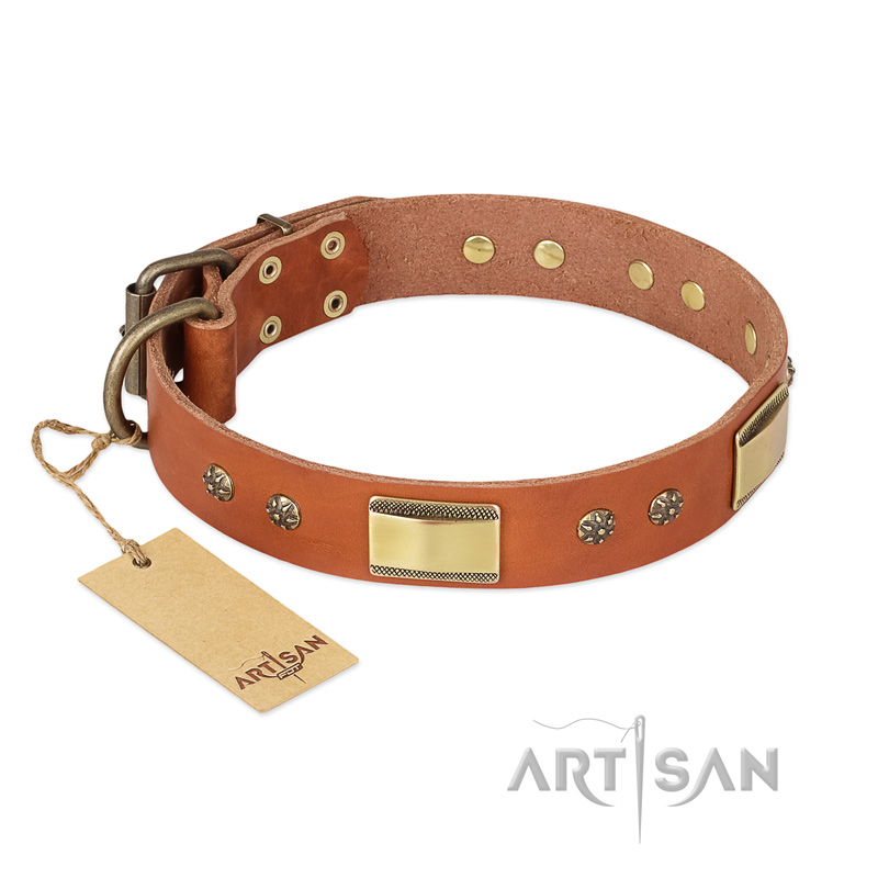 'Enchanting Spectacle' FDT Artisan Rottweiler Tan Leather Dog Collar with Golden-Like Studs - 1 1/2 inch (40 mm) wide