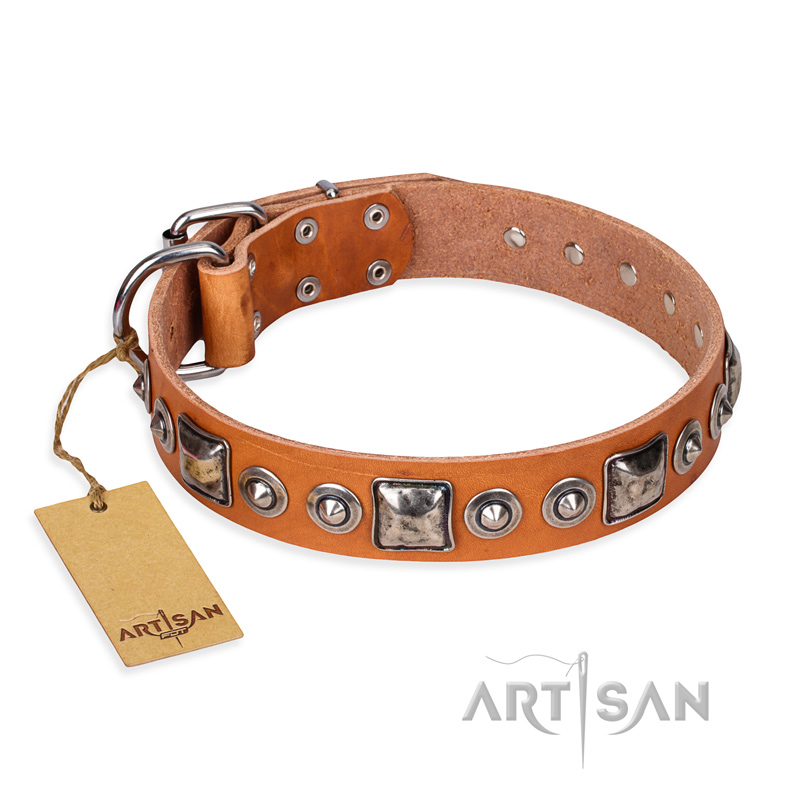 'Era of Future' FDT Artisan Handcrafted Tan Leather Rottweiler Dog Collar with Decorations