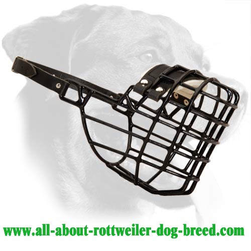 Wire Basket Rottweiler Muzzle for Winter Walking and Training