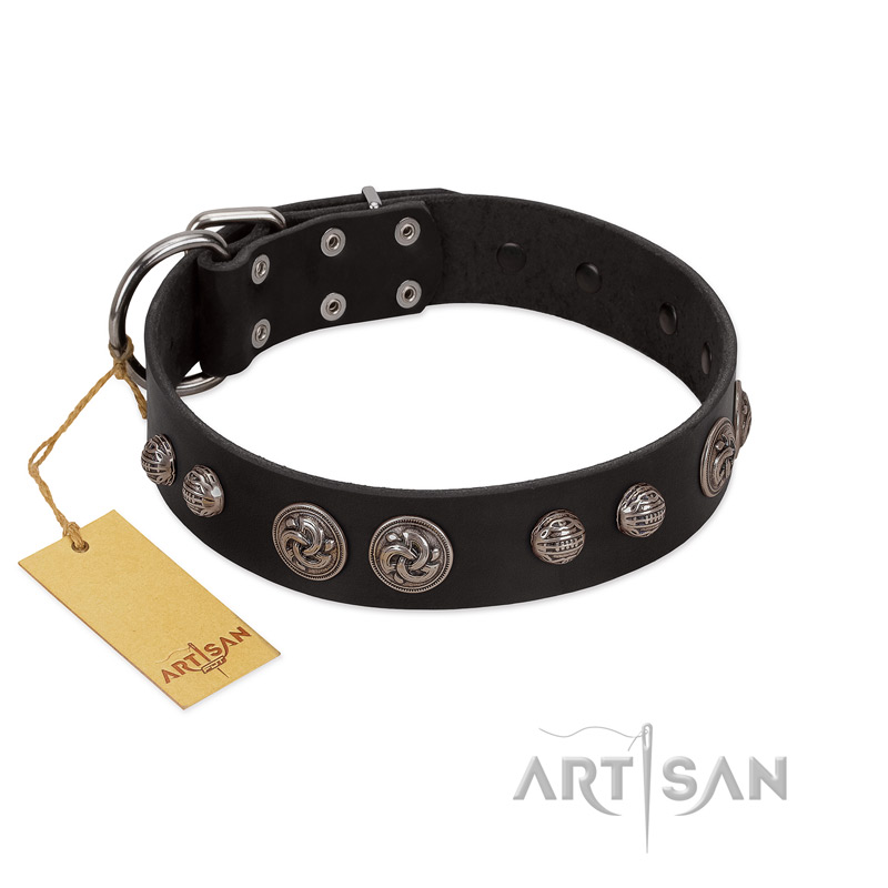"Tricky Ricky" FDT Artisan Black Leather Rottweiler Collar Adorned with Silver-Like Conchos