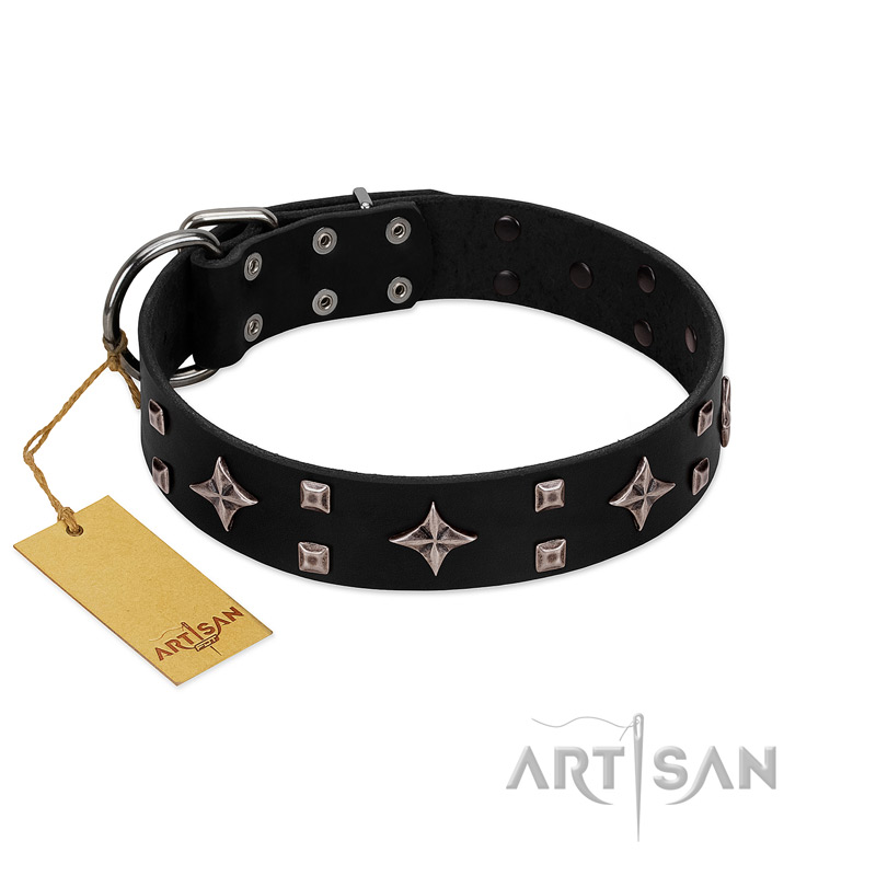 "Snappy Dresser" FDT Artisan Black Leather Rottweiler Collar Adorned with Stars and Tiny Squares