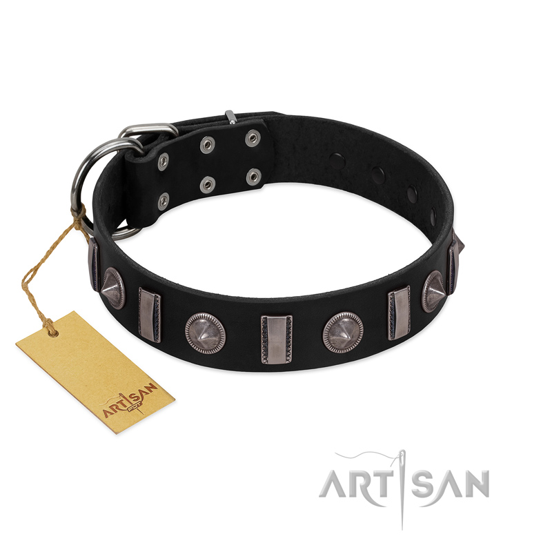 "Silver Spikes" Exclusive FDT Artisan Black Leather Rottweiler Collar