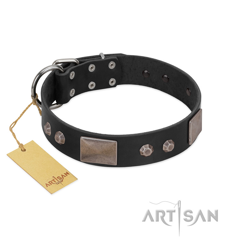 "Square Stars" Modern FDT Artisan Black Leather Rottweiler Collar with Square Plates and Studs