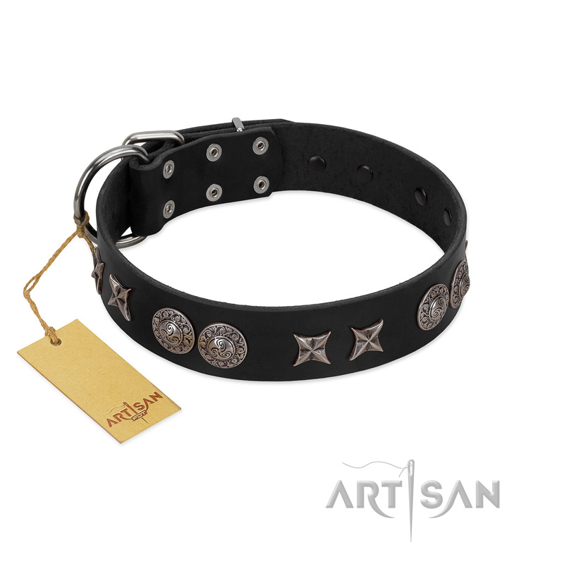 "Scythian Silver" Stylish Handmade FDT Artisan Black Leather Rottweiler Collar