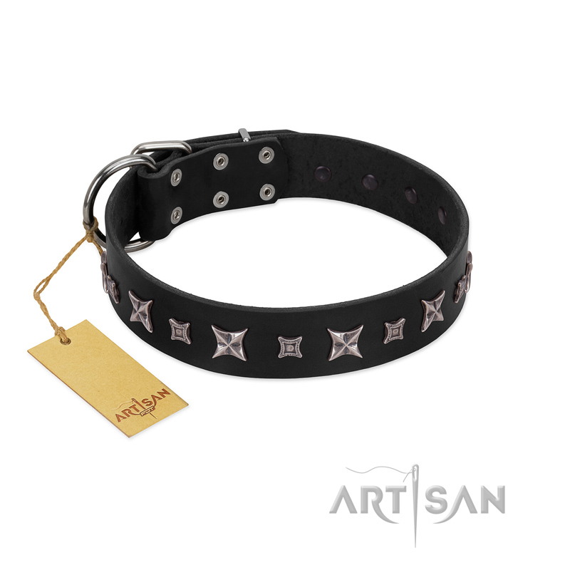 "Polar Lights" Designer FDT Artisan Black Leather Rottweiler Collar with Silver-Like Studs