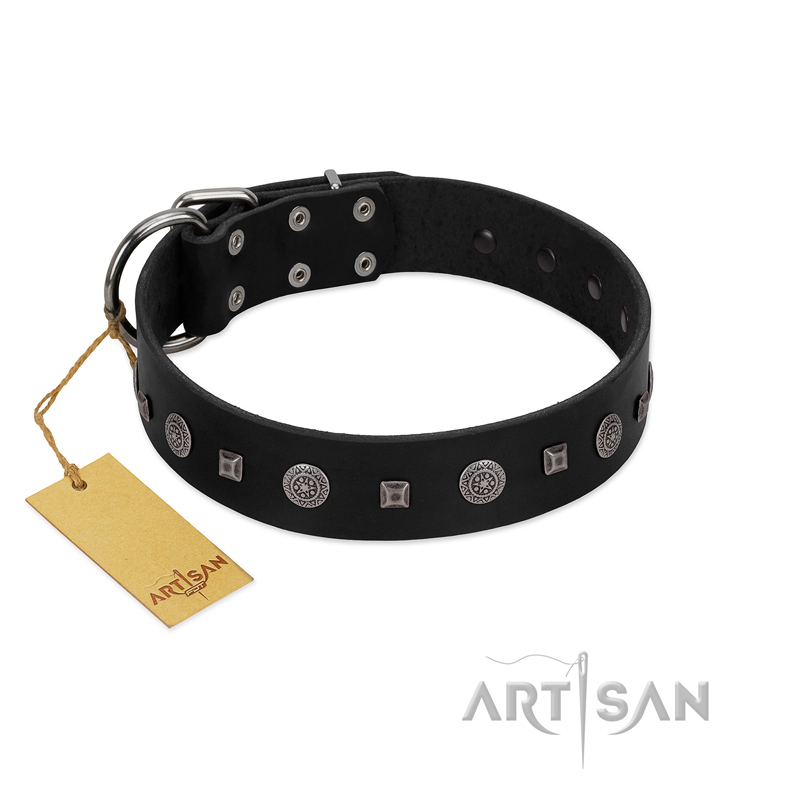 "Mr. Elegance" Designer FDT Artisan Black Leather Rottweiler Collar with Silver-Like Studs - Click Image to Close
