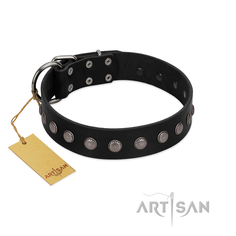 "Silver Flower" Exclusive FDT Artisan Black Leather Rottweiler Collar with Silver-Like Studs