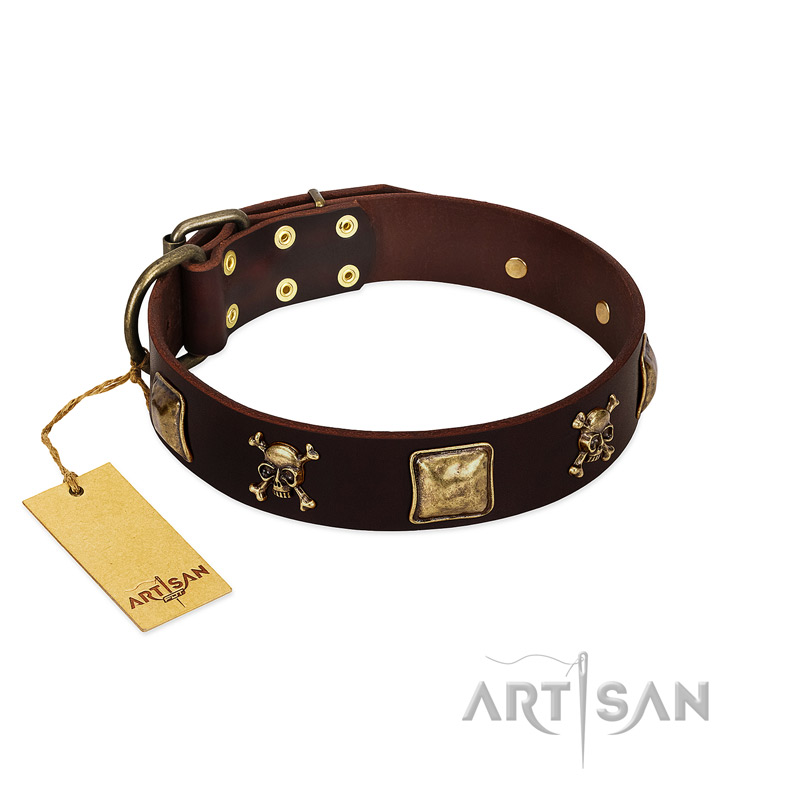 "Crazy Pirate" FDT Artisan Brown Leather Rottweiler Collar with Old Bronze-Plated Skulls and Plates