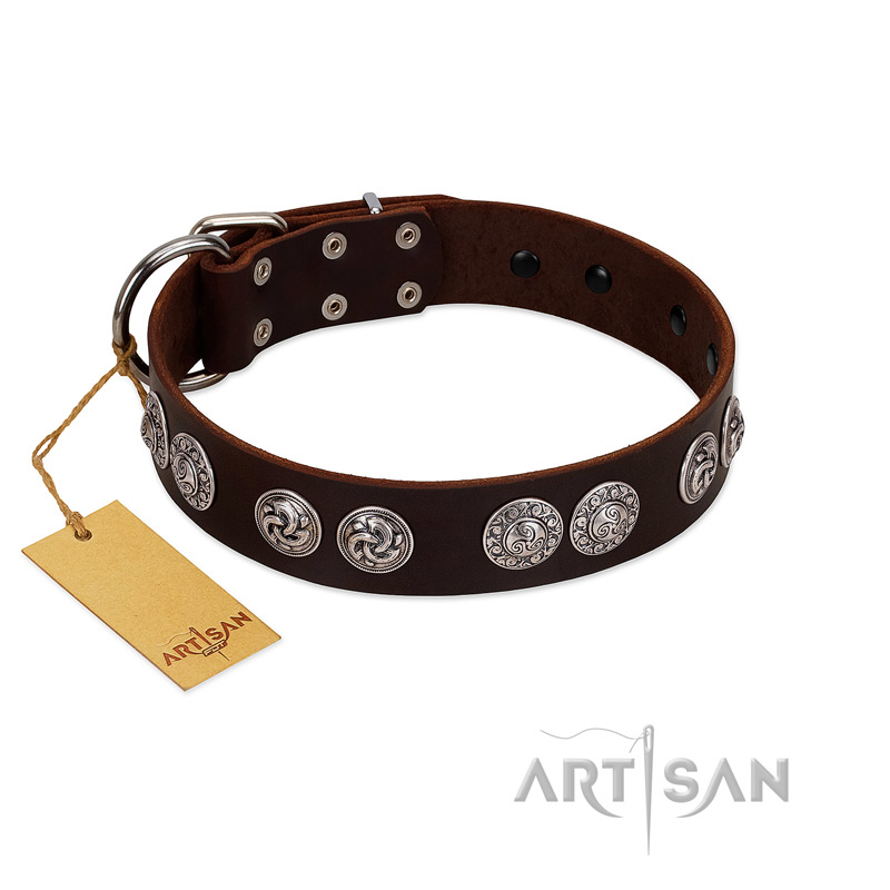 "High and Mighty" FDT Artisan Classy Brown Leather Rottweiler Collar with Embellished Brooches