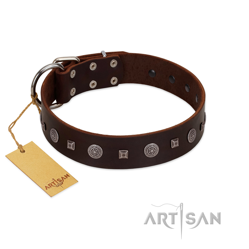 "Pure Sensation" Exclusive FDT Artisan Brown Leather Rottweiler Collar with Fancy Brooches and Studs - Click Image to Close