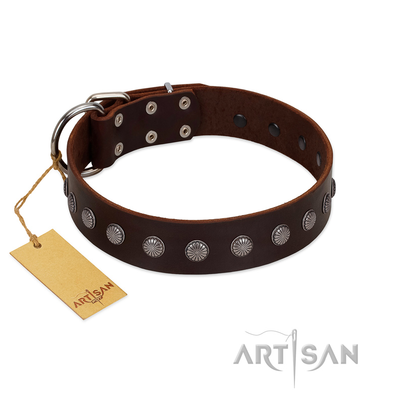 "Spring Flower" Stylish FDT Artisan Brown Leather Rottweiler Collar for Comfy Walks