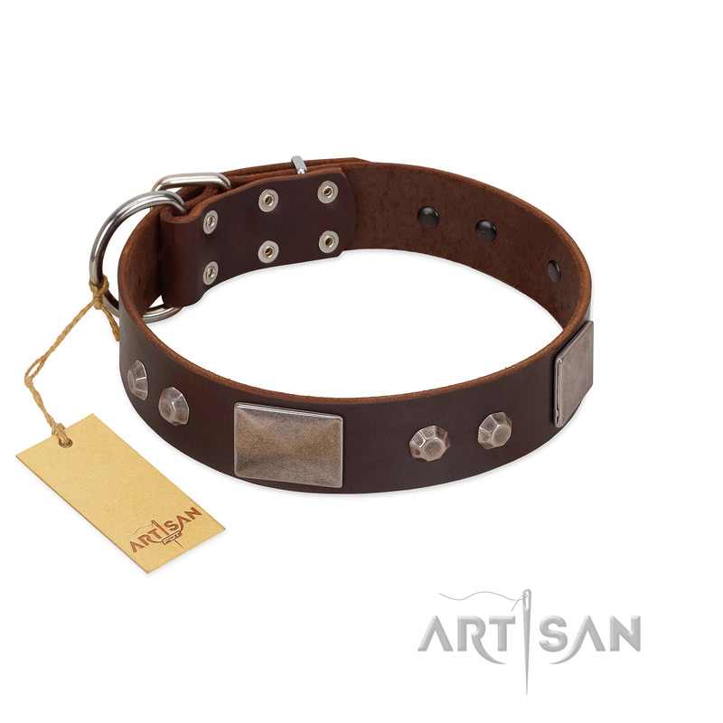 "Stone Stars" Stylish Handmade FDT Artisan Brown Leather Rottweiler Collar