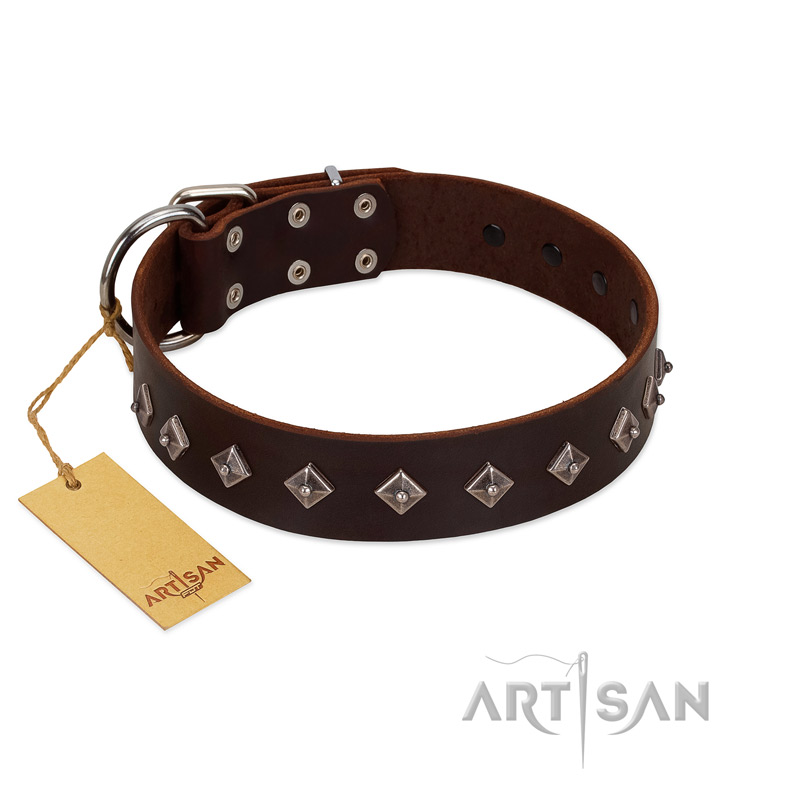 "Boundless Energy" Premium Quality FDT Artisan Brown Designer Leather Rottweiler Collar with Small Pyramids