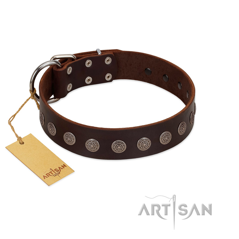 "Starry-Eyed" Best Quality FDT Artisan Brown Designer Leather Rottweiler Collar with Small Plates