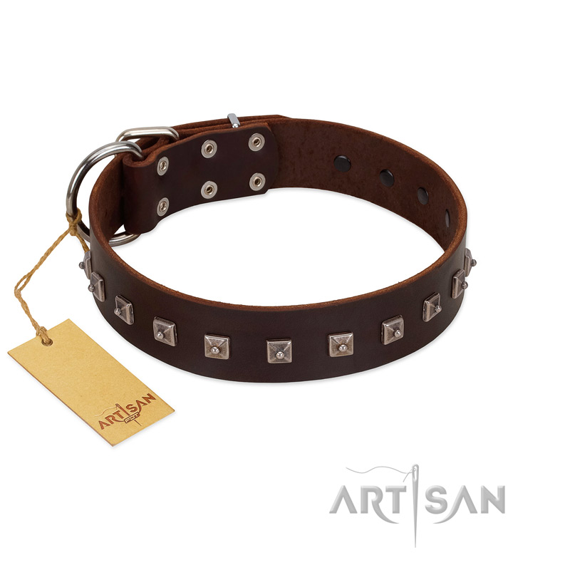 "Kingly Grace" FDT Artisan Brown Leather Rottweiler Collar with Silver-like Dotted Studs