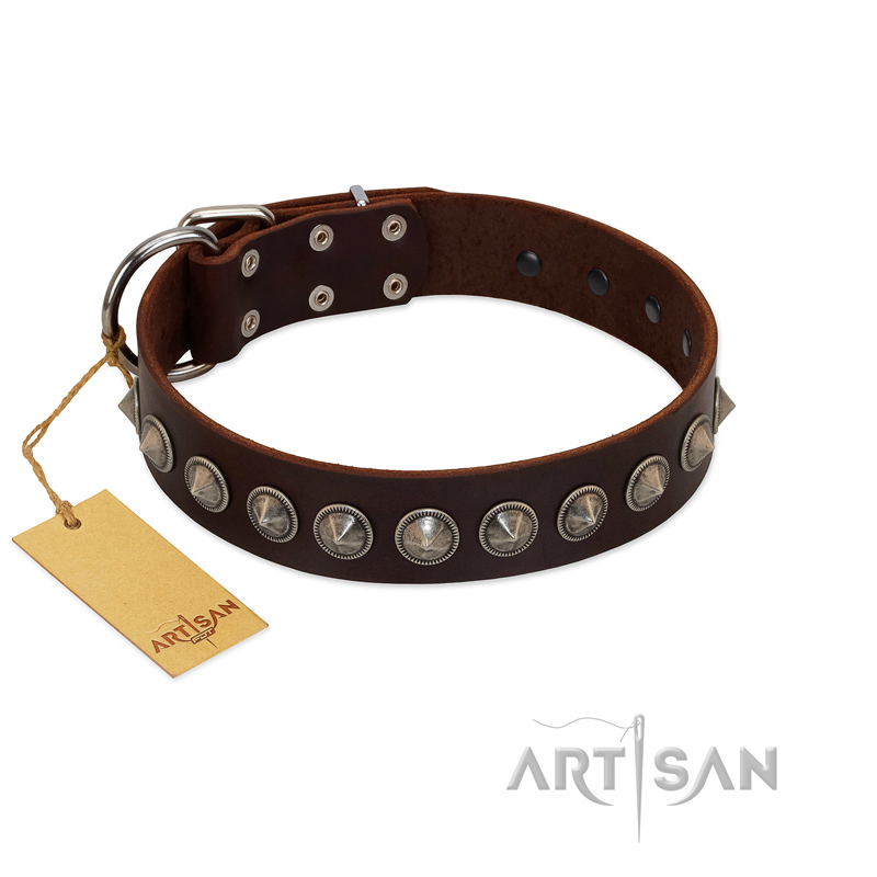 "Gothic Style" FDT Artisan Fancy Brown Leather Rottweiler Collar with Silver-Like Decorations