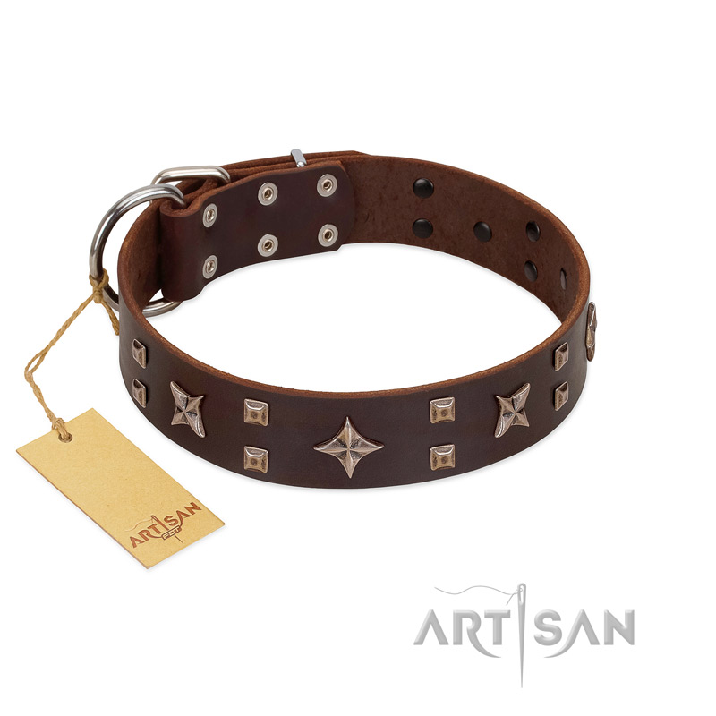 "Stars in Sands" Modern FDT Artisan Brown Leather Rottweiler Collar with Studs and Stars