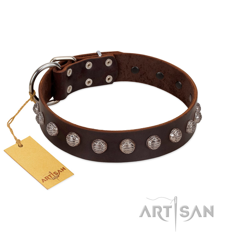 "Lucky Silver" Designer Handmade FDT Artisan Brown Leather Rottweiler Collar - Click Image to Close