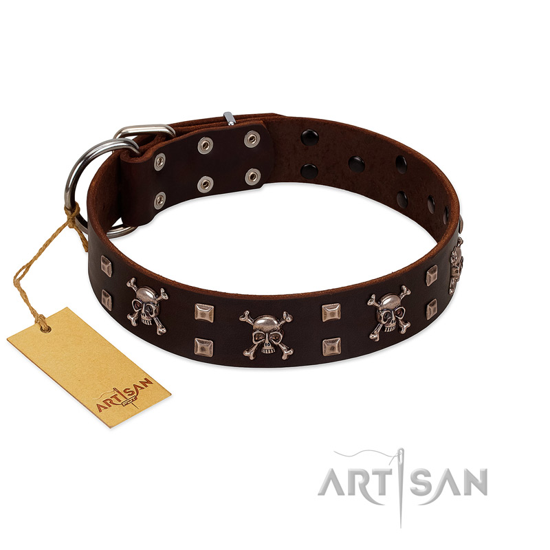 "Menacing Allure" FDT Artisan Brown Leather Rottweiler Collar Embellished with Silvery Crossbones and Square Studs