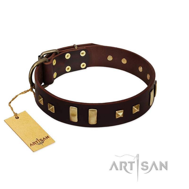 "Choco Delight" FDT Artisan Brown Leather Rottweiler Collar with Old Bronze-like Plates and Studs