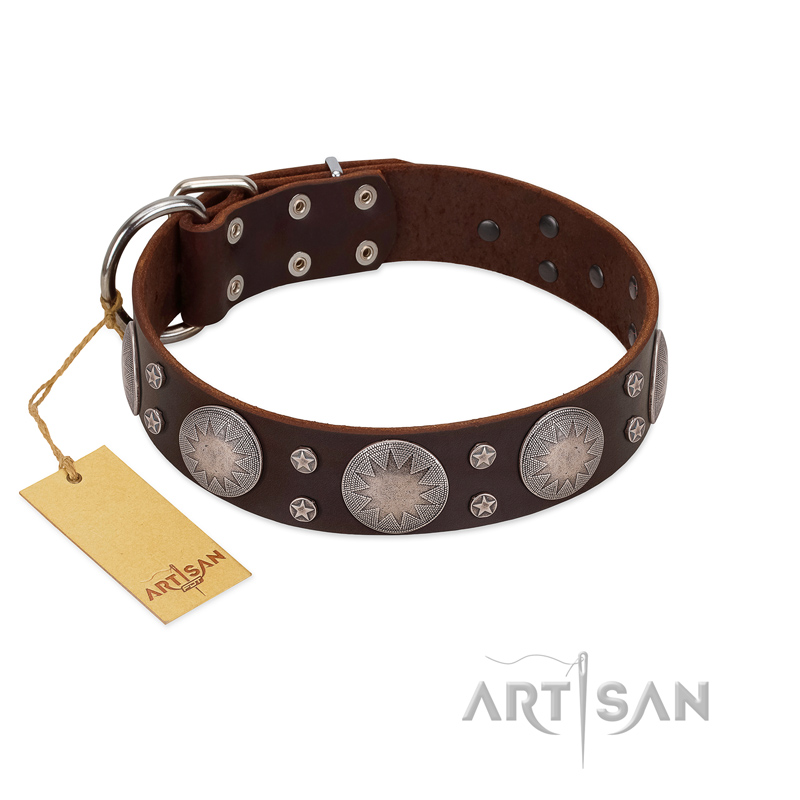 "Imperial Legate" FDT Artisan Brown Leather Rottweiler Collar with Big Round Plates